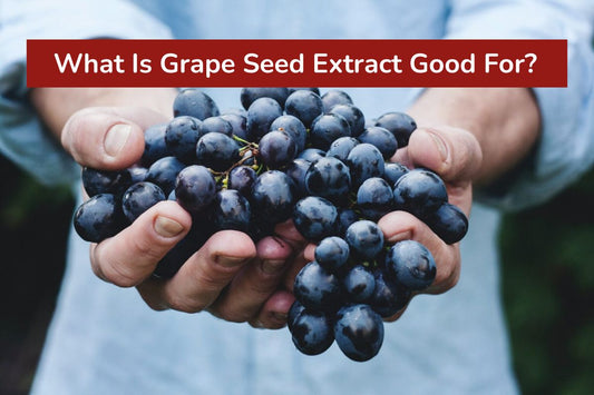 What Is Grape Seed Extract Good For? Unlock the Secrets to Better Health!
