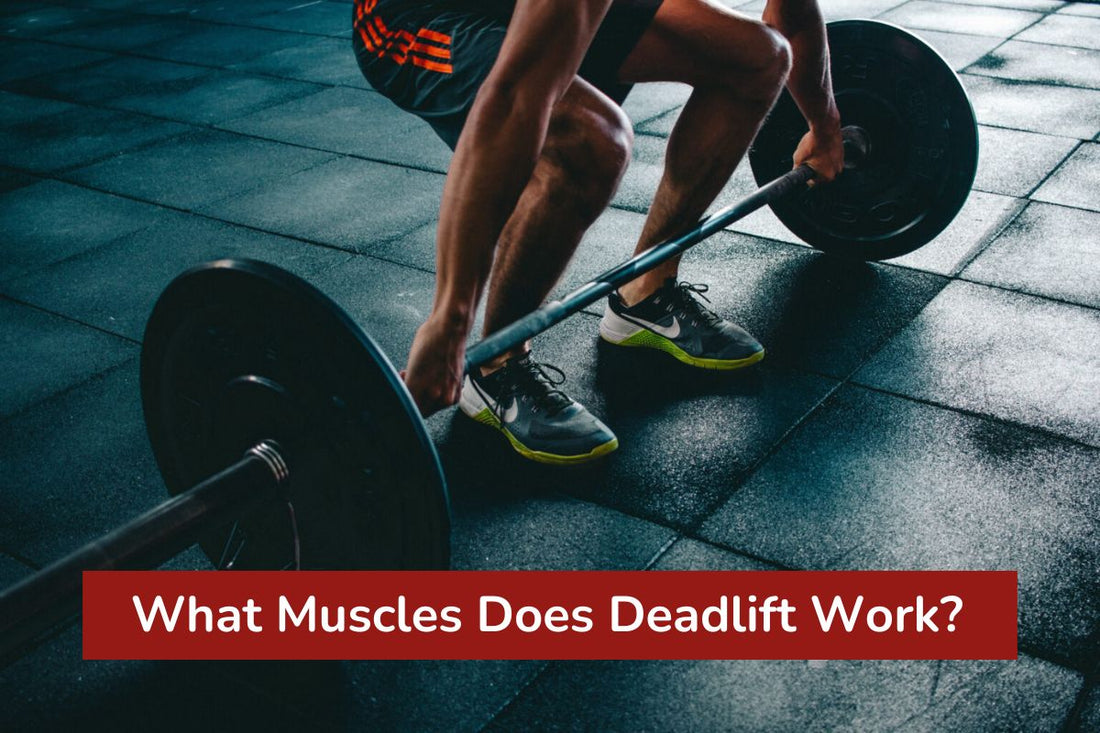 What Muscles Does Deadlift Work
