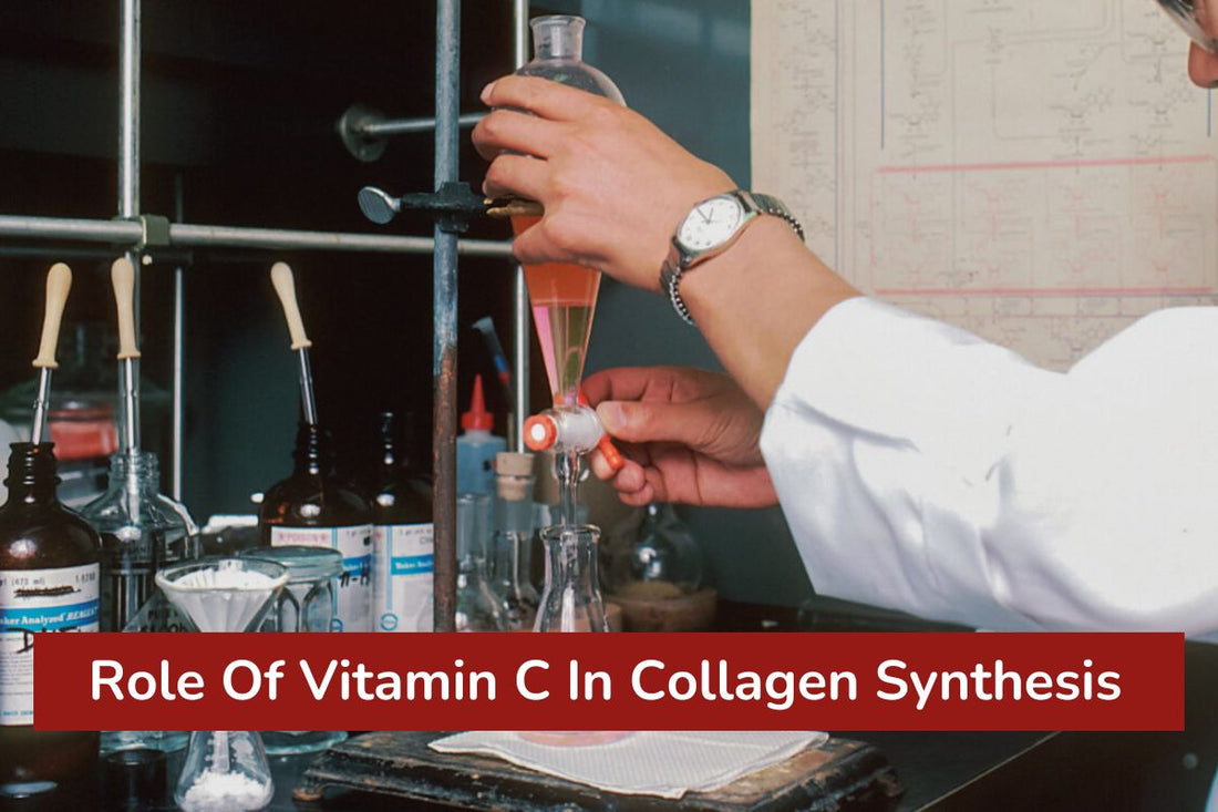 Role Of Vitamin C In Collagen Synthesis