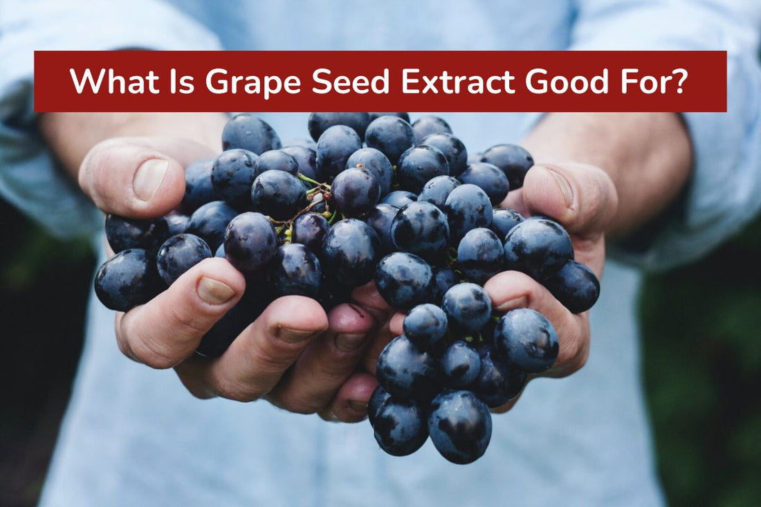 What Is Grape Seed Extract Good For?