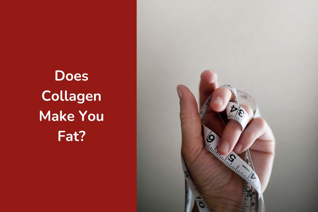 Does Collagen Make You Fat?