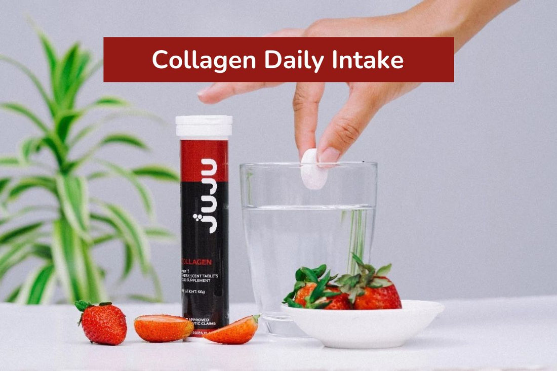 Collagen Daily Intake